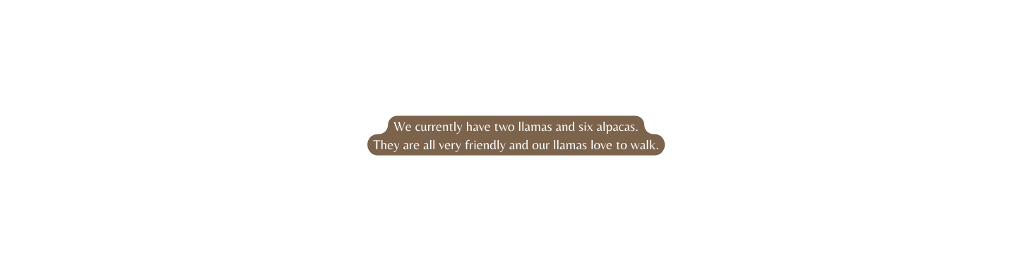 We currently have two llamas and six alpacas They are all very friendly and our llamas love to walk