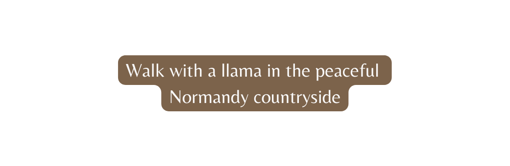 Walk with a llama in the peaceful Normandy countryside