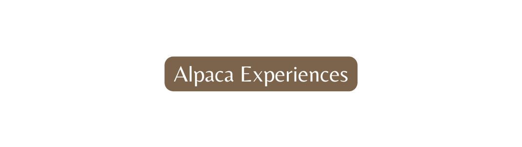 Alpaca Experiences